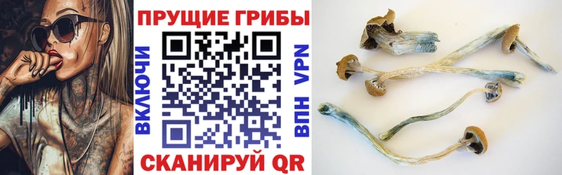 Галлюциногенные грибы Cubensis продажа наркотиков Тюмень
