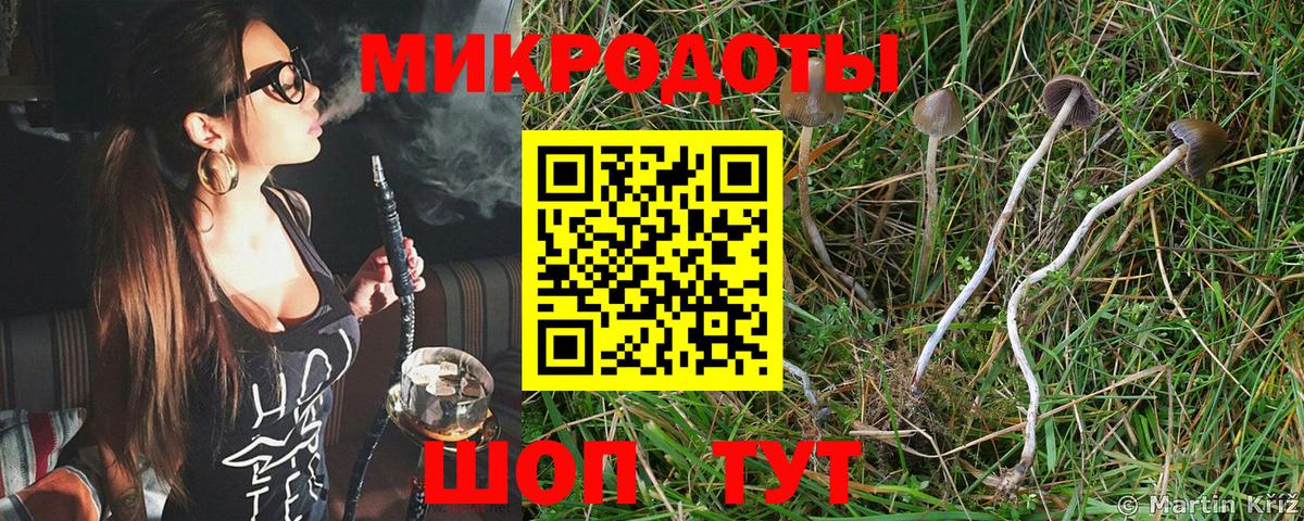 Псилоцибиновые грибы мицелий  Вход с VPN  Тюмень 